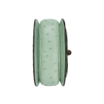 GUCCI Bamboo 1947 Bamboo handle lock Bamboo joint bag, mini women\'s handbag, light green