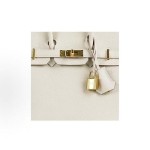 HERMES Birkin 25 Gold Buckle Women\'s 10 Craie Milkshake White