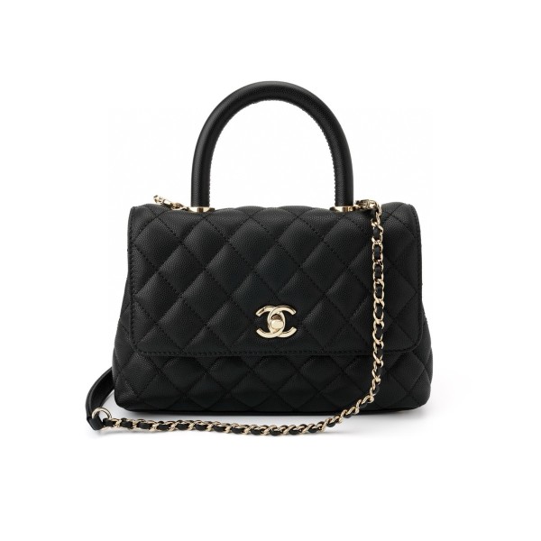 CHANEL 25P golden label grain embossed calfskin single-shoulder bag, crossbody bag, black handbag